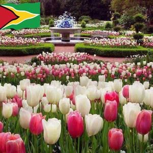 Meet your Posher, Naz